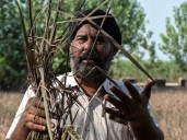 Photos: Floods devastate India’s breadbasket of Punjab