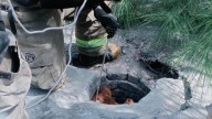 Rescatan a perro atrapado en alcantarilla en Bosque Bonito
