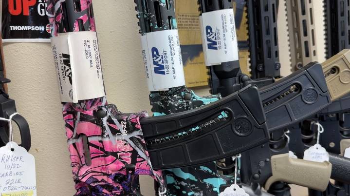 Sheriff Grady Judd, gun shop owner weigh in on open carry