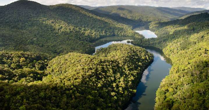 “Un Silicon Valley de la biodiversidad”: la apuesta de Votorantim para su reserva ecológica