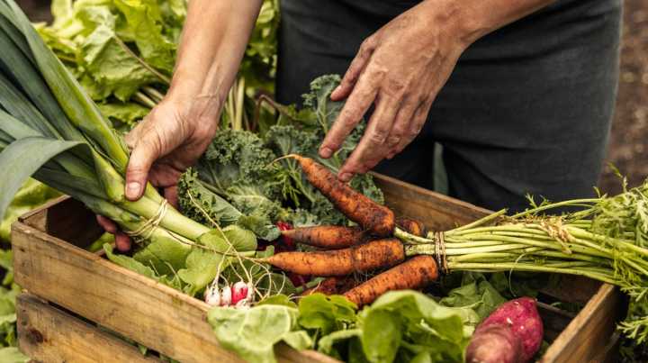 The Type Of Vegetable You Should Harvest After A Frost For Sweeter Flavor