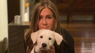 How 'Friends' Helped Jennifer Aniston Adopt Her 1st Dog Norman