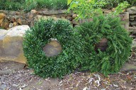 Laura Allen: 4-H Fall Plant Sale and Wreath Sale
