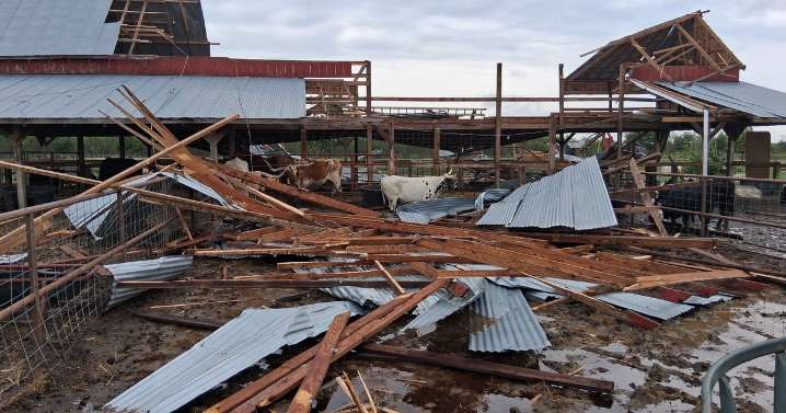 Straight-line winds up to 80 mph collapse barn, kill livestock, and damage property in Gunter