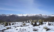 Nevada en Pico Espejo deslumbra a turistas en Mérida