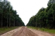 NO QUEDA OTRA! Empresas forestales en Corrientes mantienen los caminos rurales