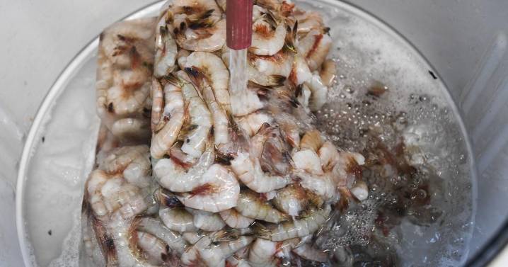 A Louisiana festival was caught serving foreign shrimp. This year was a different story.