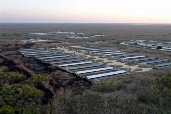 Clausuran definitivamente megagranja porcícola en Yucatán