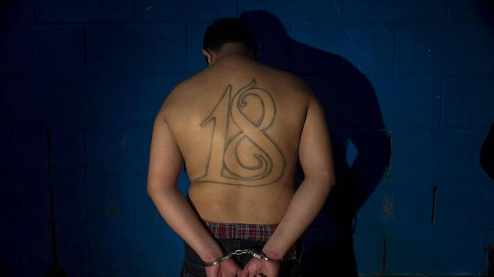 Trump administration designates Barrio 18 gang as foreign terrorist organization