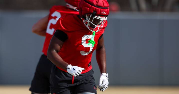 Promising UGA freshman tight end carted off with lower leg injury