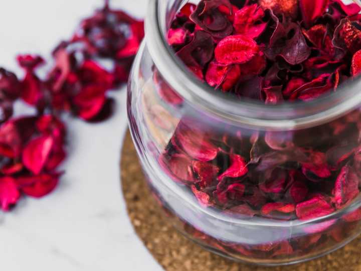 Cuáles son las propiedades curativas de la flor de Jamaica
