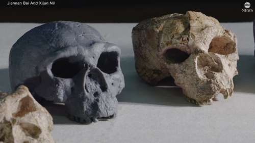 Ancient skull could alter timeline of human origin