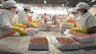 El calamar se impone como el principal producto que exporta Argentina