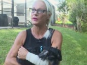 Estados Unidos: mujer golpea a un caimán para salvar a su perrito y sobrevive al ataque