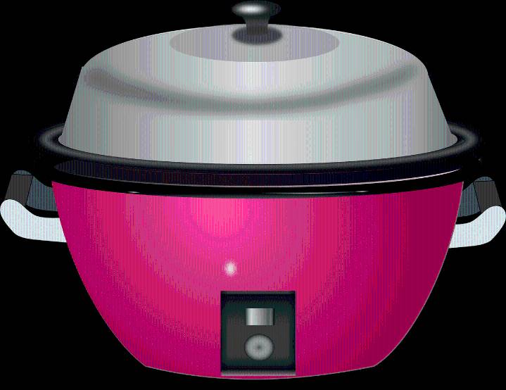 Crockpot Safety Tips to Prevent Foodborne Illnesses, Such as Salmonella or E. coli