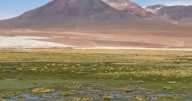 Chile es reconocido por los Óscar del Turismo: recibe cinco premios en los World Travel Awards 2025