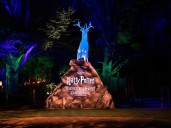 Harry Potter Forbidden Forest walk-through experience coming to Vancouver's Stanley Park this fall