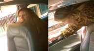Mabel Moreno vivió momentos de pánico por broma de Carlos Torres en un taxi