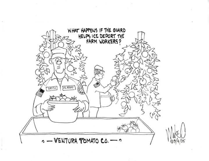 Letters to the Editor