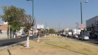 Talan árboles, gastan millones y olvidan la seguridad: vecinos cuestionan gestión en Metepec