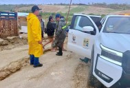 Protección Civil asegura atención en refugios temporales en Cabo San Lucas