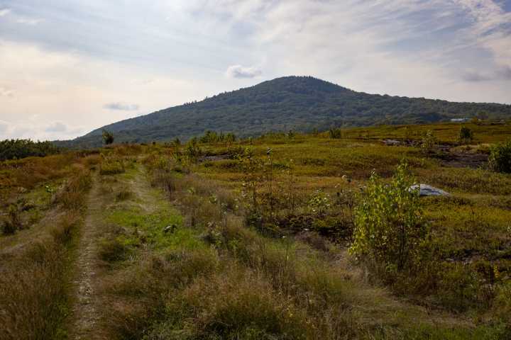 This midcoast preserve is a fantastic fall foliage hike