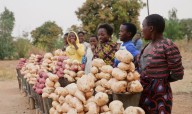 Malawi votes amid economic downturn and leadership discontent