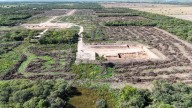 Desmonte ilegal en el norte santafesino: "Va a tomar décadas que vuelva a estar como antes"