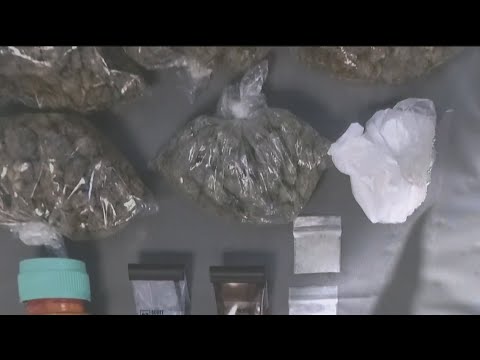 14 accused in crime ring in DeKalb County