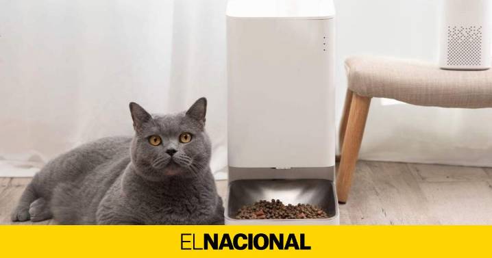 El comedero automático con WiFi que da de comer al gato aunque no estés en casa