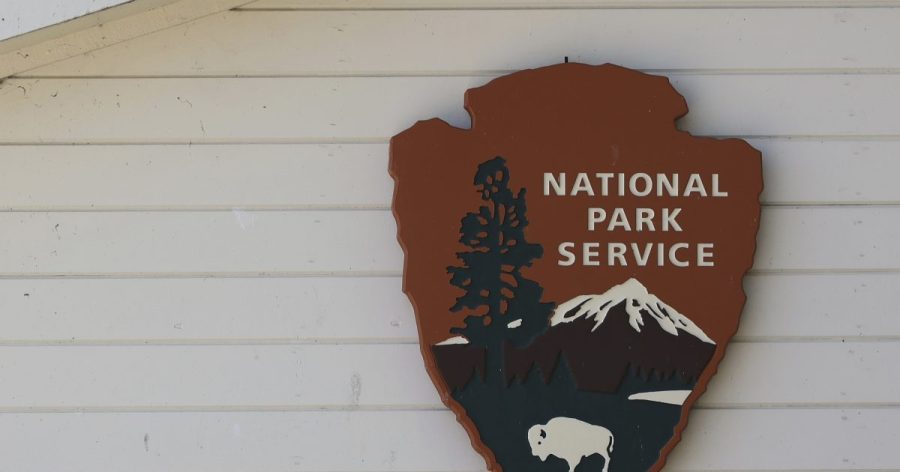National Park Service to remove photo of enslaved man's scars: Report