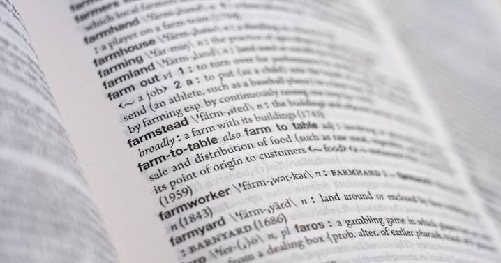 Hard pass. Cold brew. Dad bod. Merriam-Webster adds 5,000 words to 'Collegiate' dictionary
