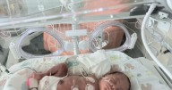 $60k grant enhances MercyOne NICU care in North Iowa