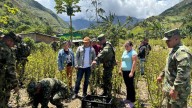 Colombia destaca logros ‘históricos’ en su lucha antidrogas antes de evaluación de Trump