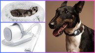 Spoil your pet with Amazon deals on dog beds, cat carriers and more