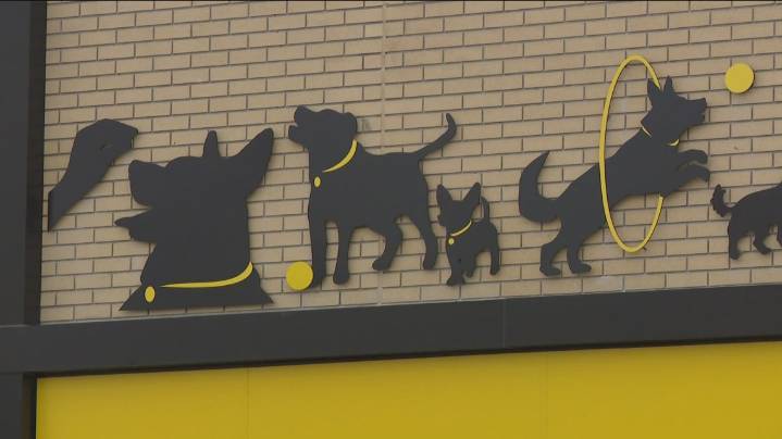 Lucas County Canine Care & Control to waive adoption fees ahead of move to new facility