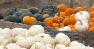 Fall festival season begins; NWS predicts warmer fall for Utah