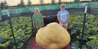 Bismarck family grows 1,001-pound pumpkin, donates to Papa’s Pumpkin Patch