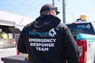 How to keep your pet safe during emergencies 