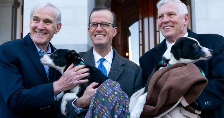 California lawmakers pass bill that will bar some popular puppy sellers