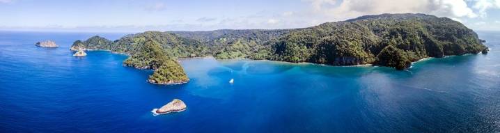 Mexican marine biologist attacked by shark in Costa Rica