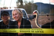 CFIA gets ready for cull on BC ostrich farm after outbreak of avian influenza