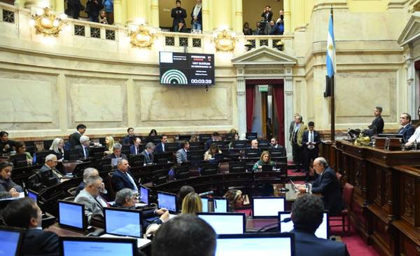 Se cayó el veto de Milei: el Senado dejó sin efecto el decreto y reactivó la ley de emergencia en discapacidad