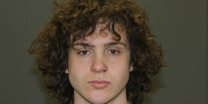 Man accused of killing pet rabbit sentenced