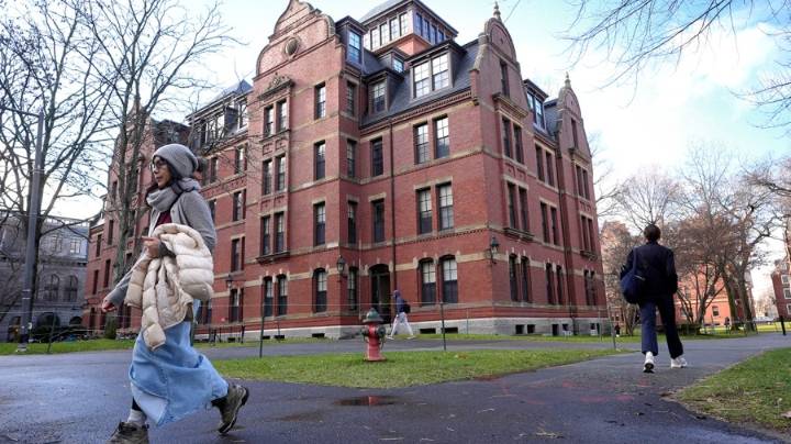 Perceived importance of college drops to new low: Gallup