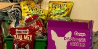 ‘Mama, fix it’: A mother’s mission to help animals, pet owners