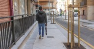 El plan de obras municipal plantará más de 2.500 nuevos árboles y 12.000 arbustos en Granada