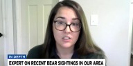 Expert on recent bear sightings in Upstate, western NC