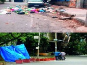 Citizen turns garbage black spot into thriving mini