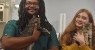 Pierpont Vet Tech students to hone skills at upcoming community pet wash